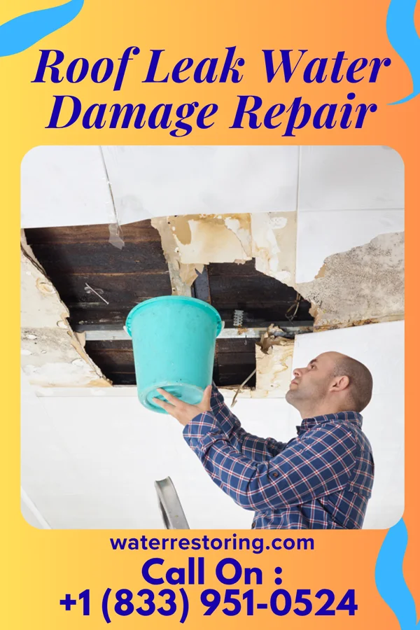 Roof Leak Water Damage Repair in Mansfield, WA